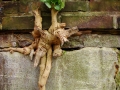 Afbeelding 044